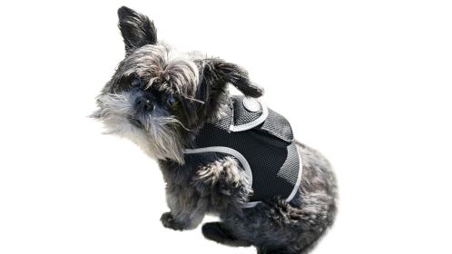 Durable Cat Dog GPS Tracker Waterproof GSM Pet Tracking System w/ Apps Size:S