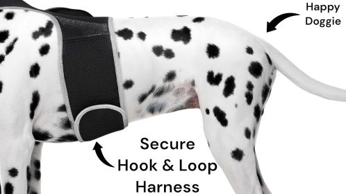 GSM GPS Dog Tracking Tag Portable Realtime Mini Waterproof Pet Tracker Size:S
