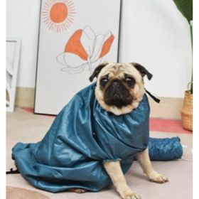 Automatic Drying Bag With Quick Drying Hair Dryer For Bathing (Option: S-Blue)