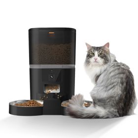 Video Camera With Adjustable Performance Pet Feeder (Option: Black 4L Double Feeding-Black Transparent Barrel)
